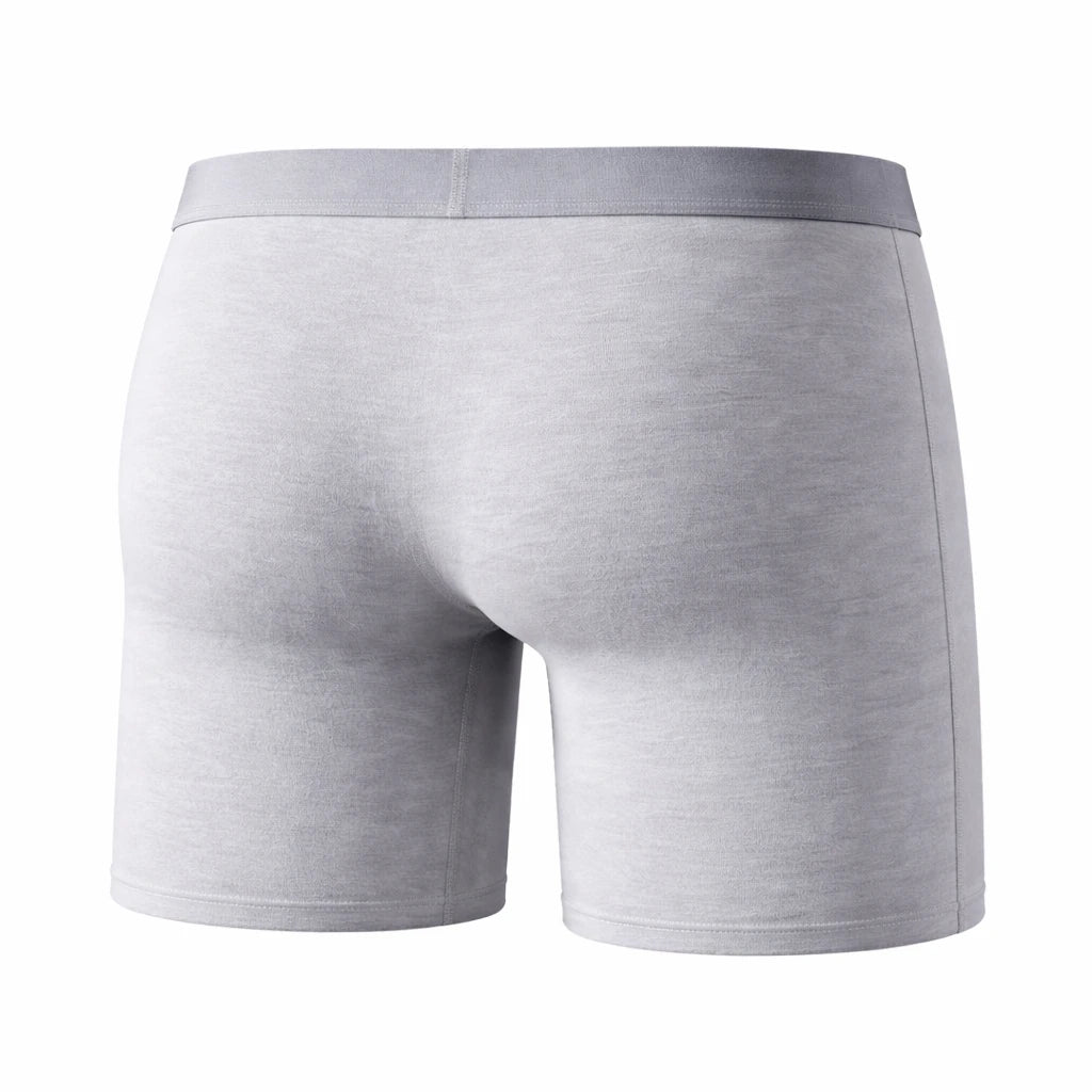 Men's Bamboo Fiber Boxer Briefs Soft  5 Pack Light Gray