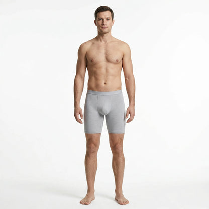 Men's Bamboo Fiber Boxer Briefs Soft  5 Pack Light Gray