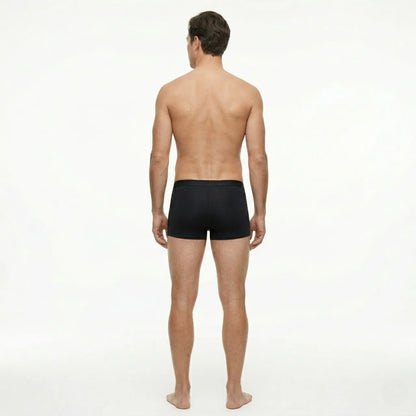 Men's Ice Silk Boxer Briefs Seamless Ultra Light Underwear