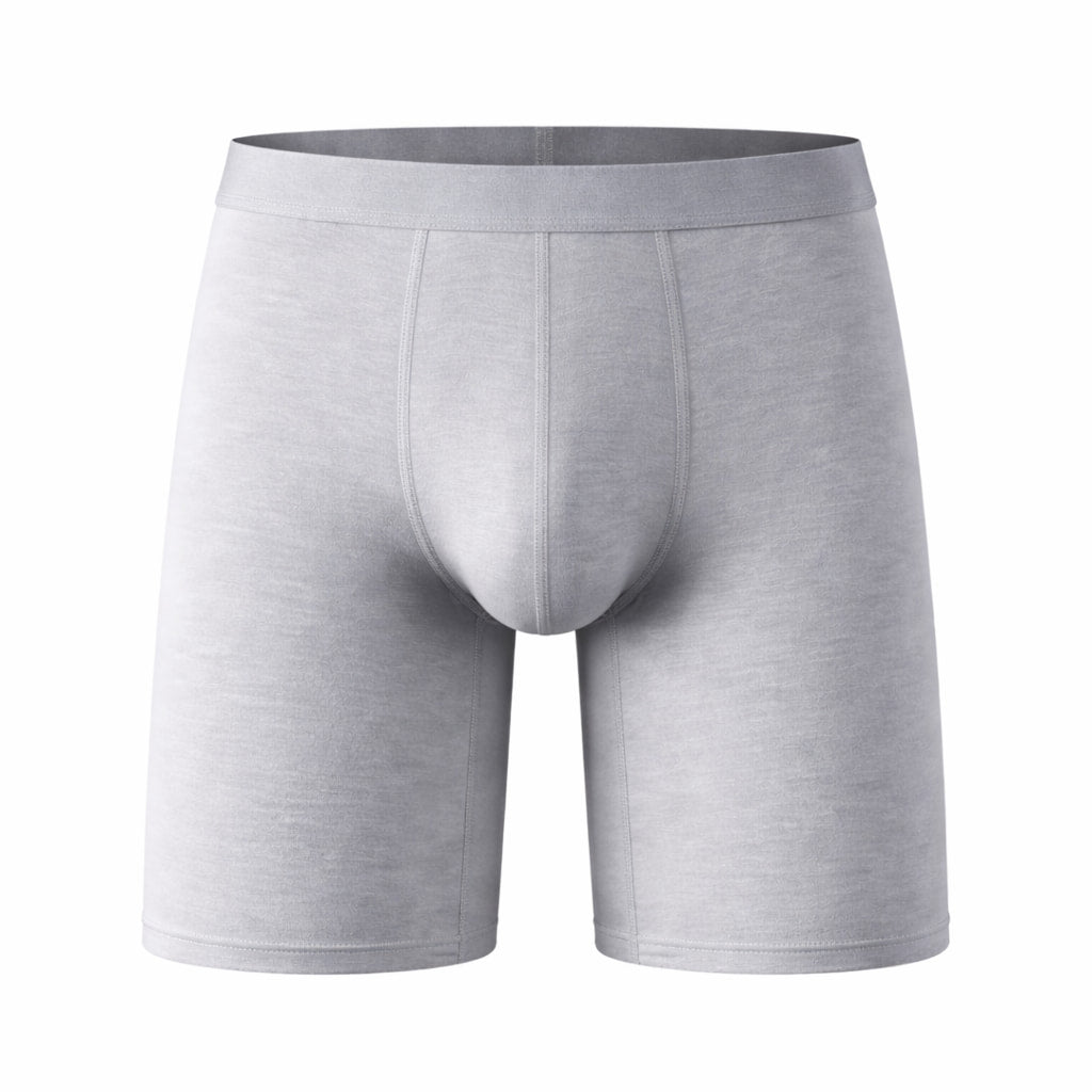 Men's Bamboo Fiber Boxer Briefs Soft  5 Pack Light Gray
